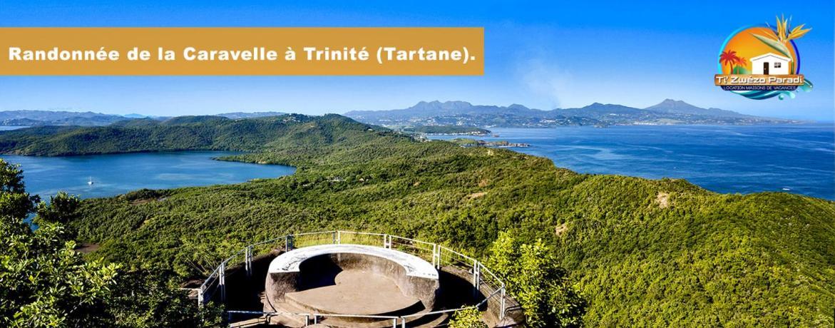 F3 Hibiscus - Piscine Chauffee - Vue Mer - 9 Min De La Plage - Ti Zwezo Paradi ลา ทรินิเต ภายนอก รูปภาพ
