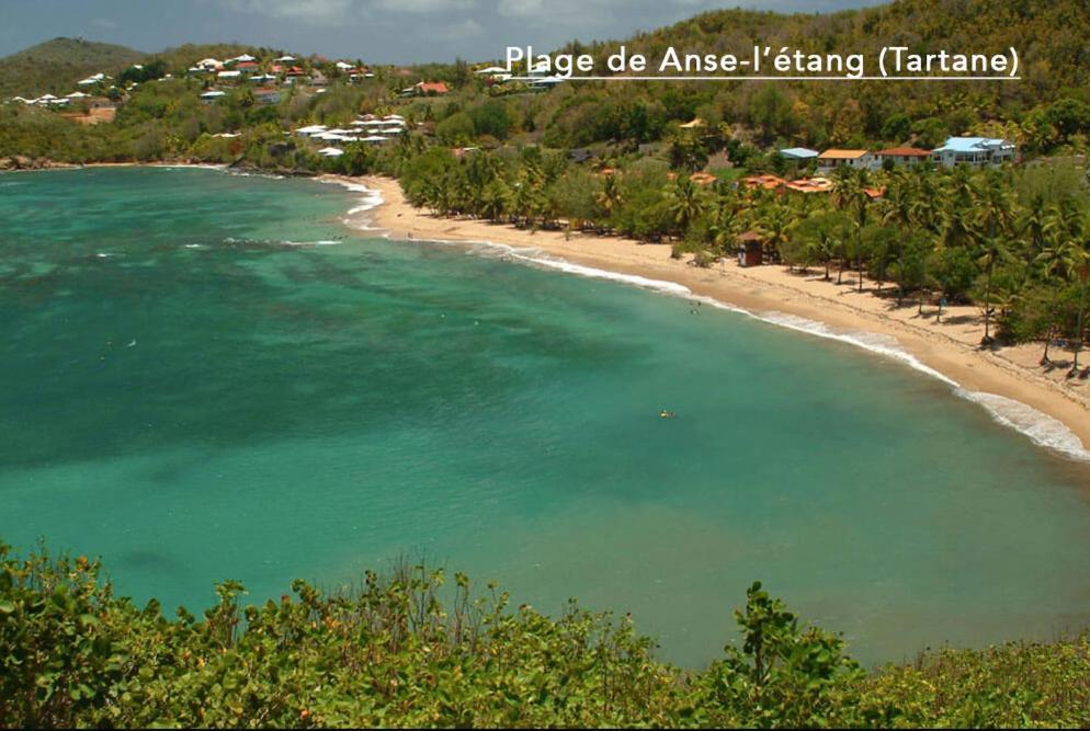 F3 Hibiscus - Piscine Chauffee - Vue Mer - 9 Min De La Plage - Ti Zwezo Paradi ลา ทรินิเต ภายนอก รูปภาพ