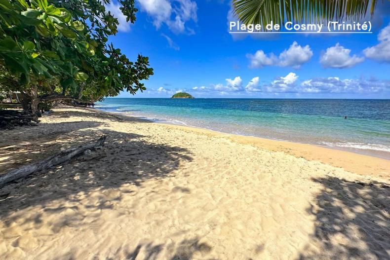F3 Hibiscus - Piscine Chauffee - Vue Mer - 9 Min De La Plage - Ti Zwezo Paradi ลา ทรินิเต ภายนอก รูปภาพ