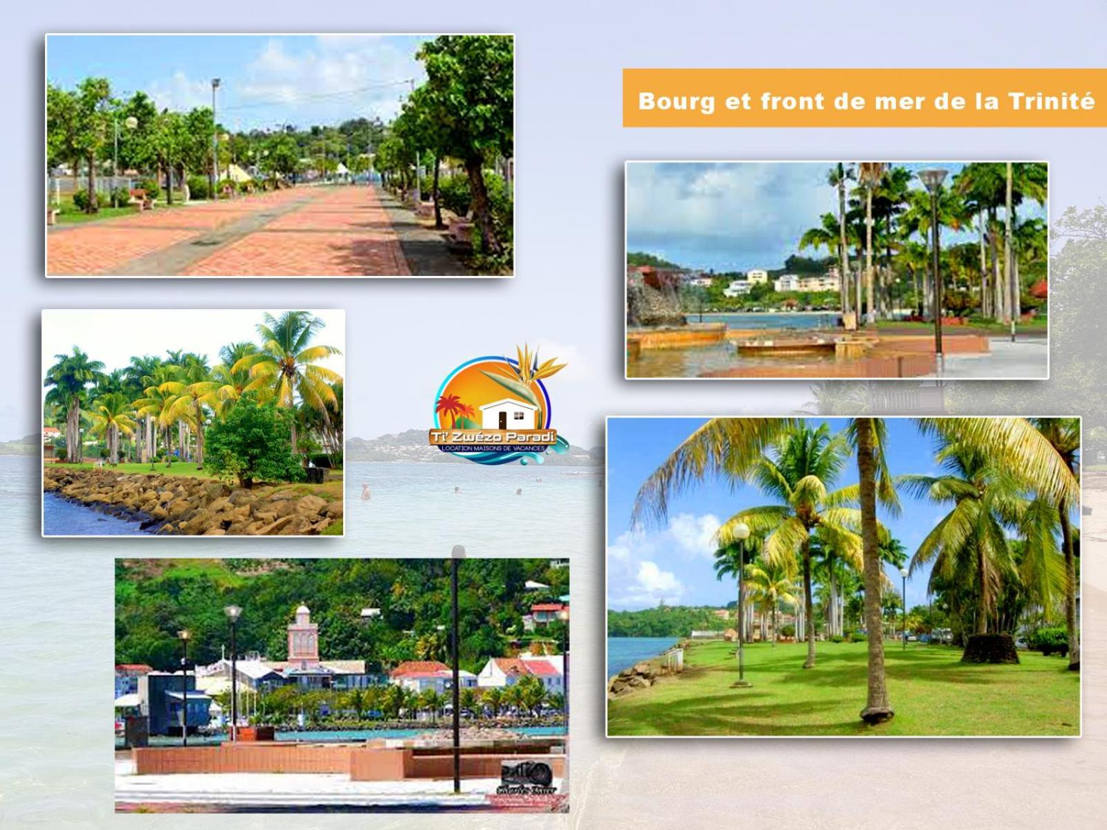 F3 Hibiscus - Piscine Chauffee - Vue Mer - 9 Min De La Plage - Ti Zwezo Paradi ลา ทรินิเต ภายนอก รูปภาพ