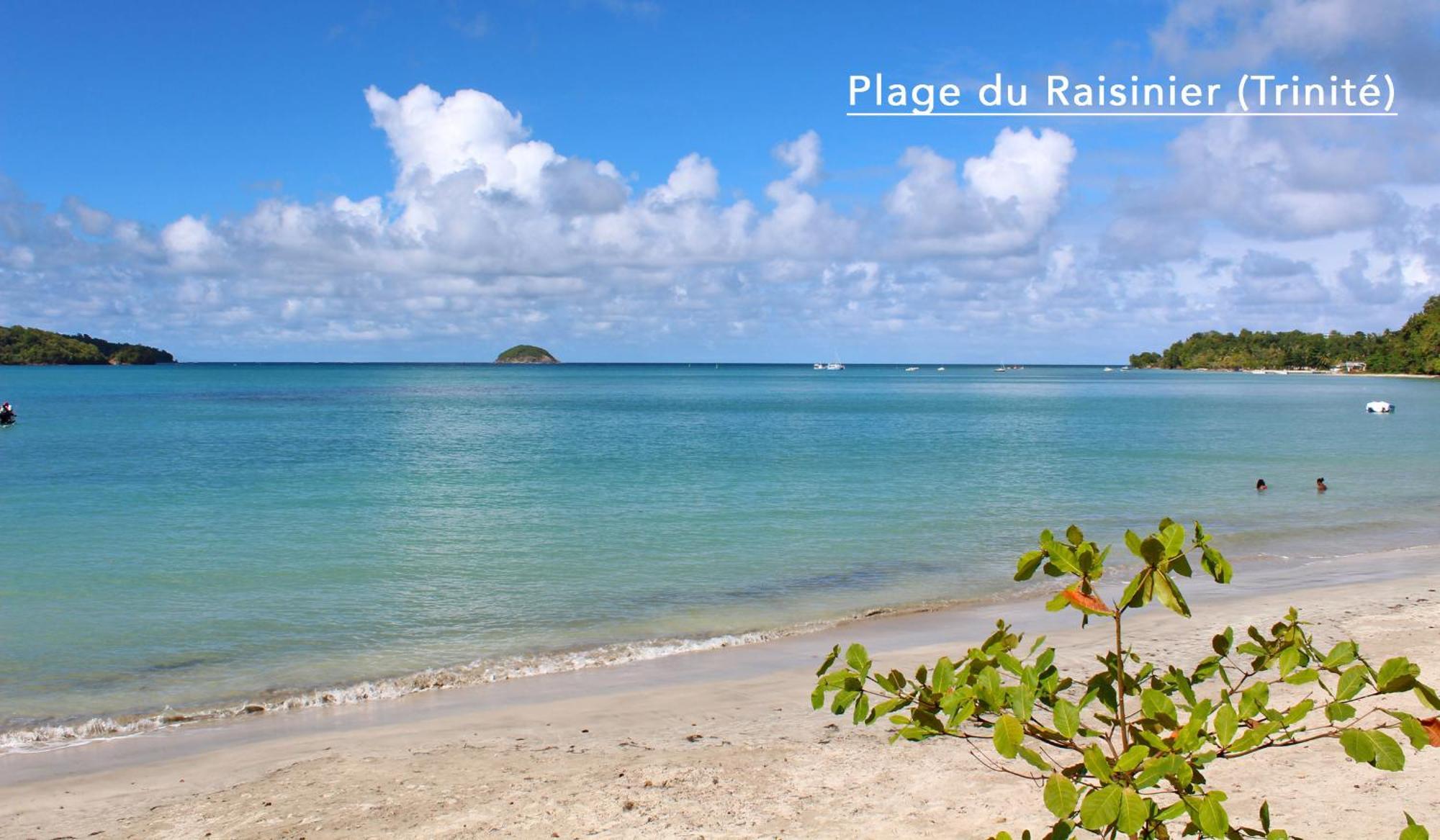 F3 Hibiscus - Piscine Chauffee - Vue Mer - 9 Min De La Plage - Ti Zwezo Paradi ลา ทรินิเต ภายนอก รูปภาพ